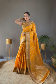 Soft Silk Saree with Beautiful Border and Rich Pallu