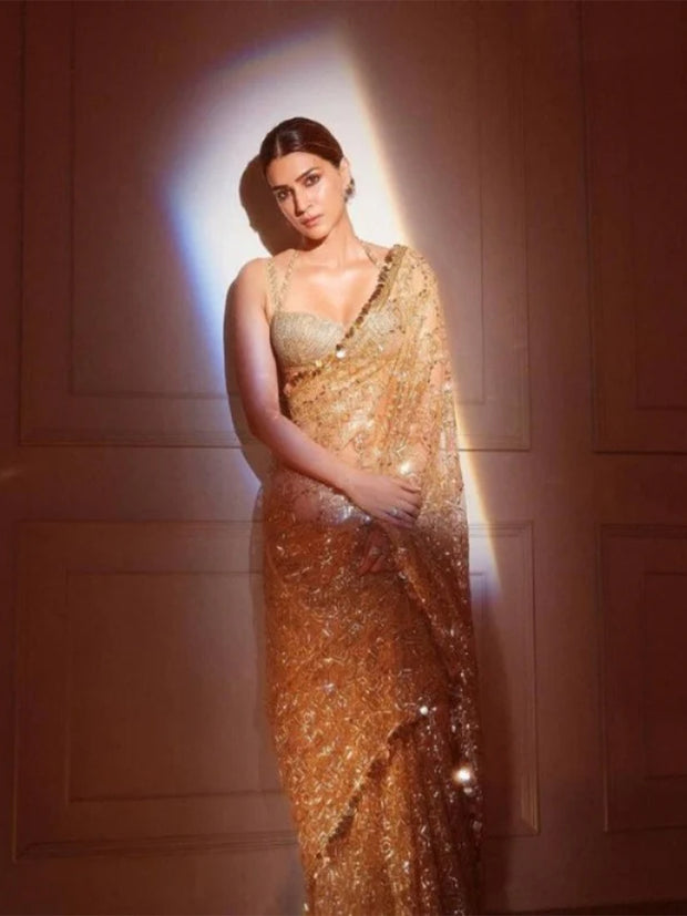 Mono Net Saree with 5MM Sequins and Embroidery Work